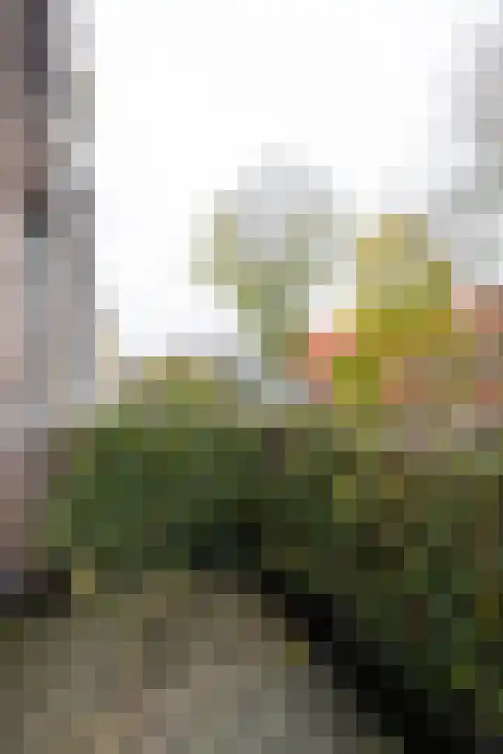 Mathenesserweg 112 C Rotterdam thumbnail 23