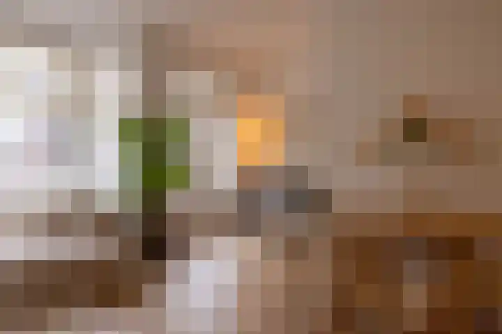 Mathenesserweg 112 C Rotterdam thumbnail 7