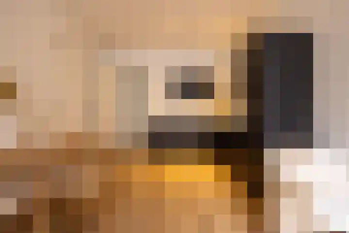 Mathenesserweg 112 C Rotterdam thumbnail 9