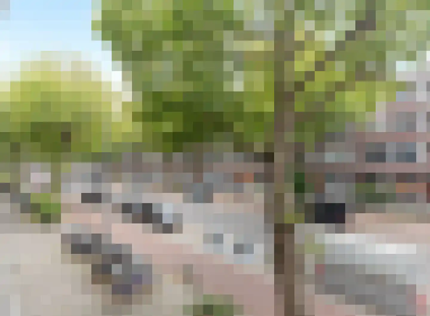 Mathenesserweg 117 B Rotterdam thumbnail 7