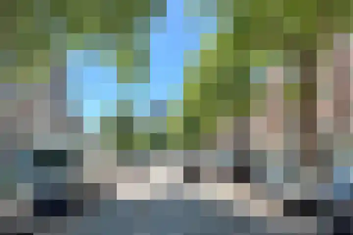 Mathenesserweg 117 C 03 Rotterdam thumbnail 25