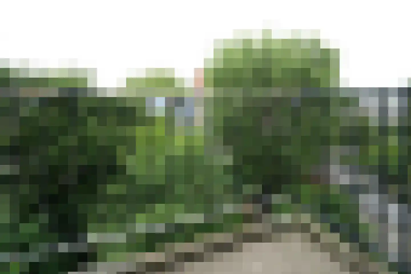 Mathenesserweg 127 A 02 Rotterdam thumbnail 15