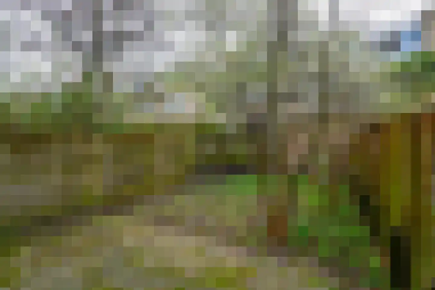 Mathenesserweg 127 C Rotterdam thumbnail 13