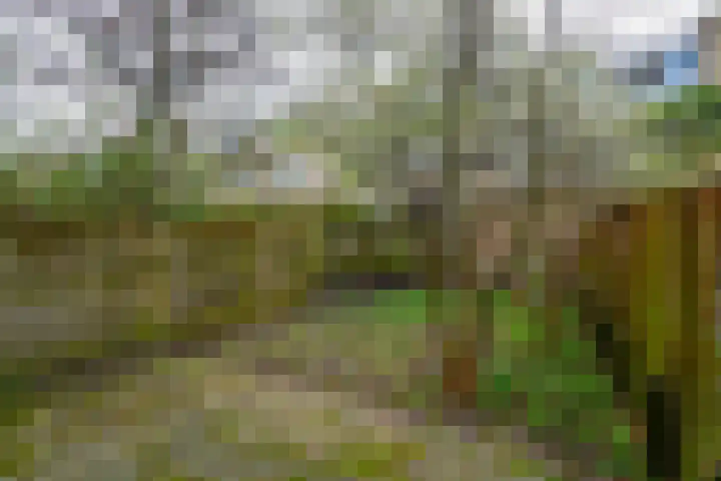 Mathenesserweg 127 C Rotterdam thumbnail 14