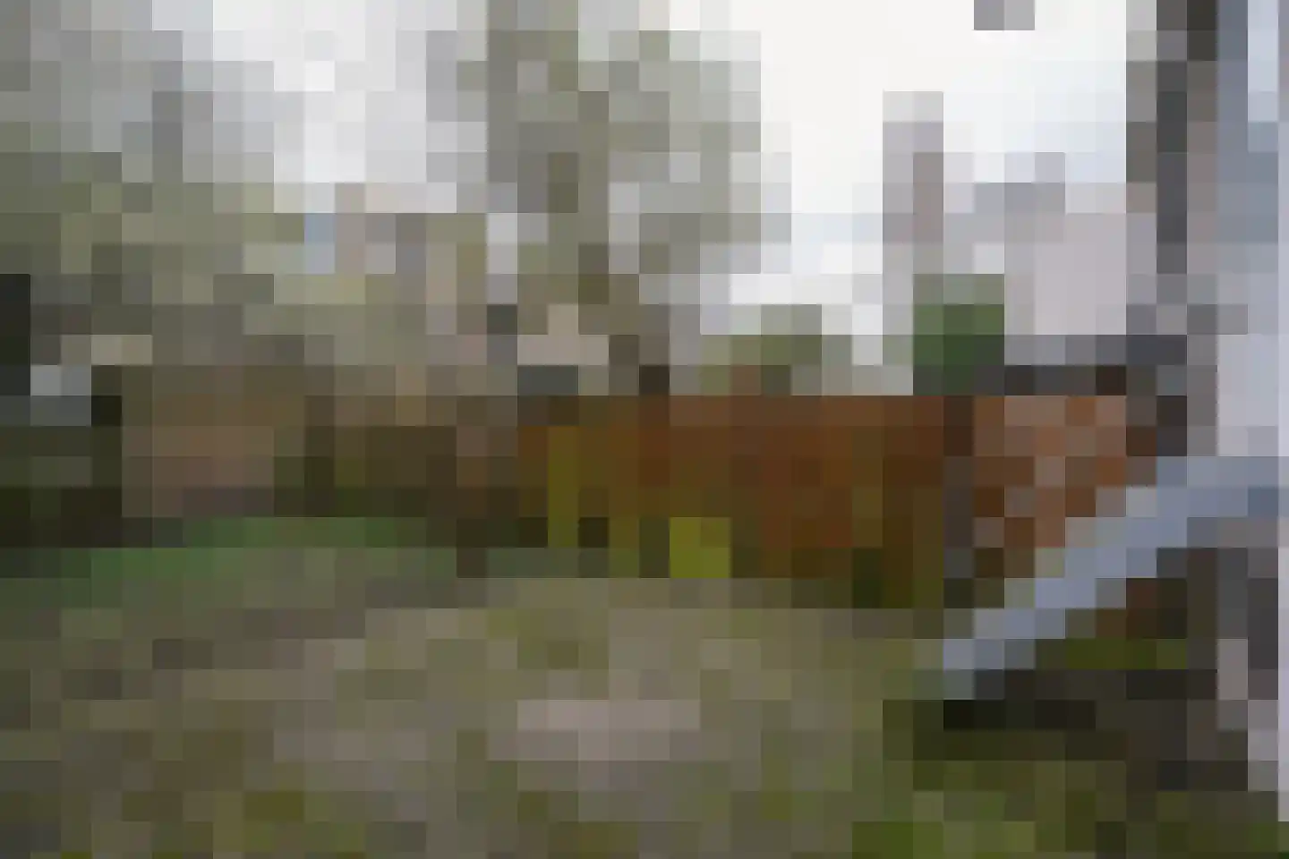 Mathenesserweg 127 C Rotterdam thumbnail 15