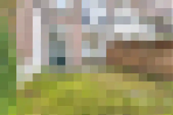 Mathenesserweg 128 A Rotterdam thumbnail 5