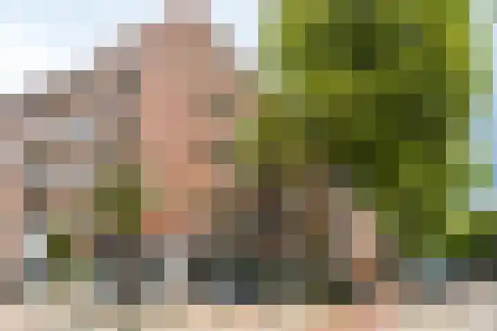 Mathenesserweg 149 B Rotterdam thumbnail 5