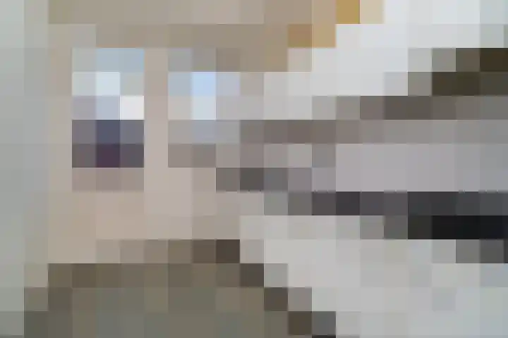 Mathenesserweg 149 B Rotterdam thumbnail 8