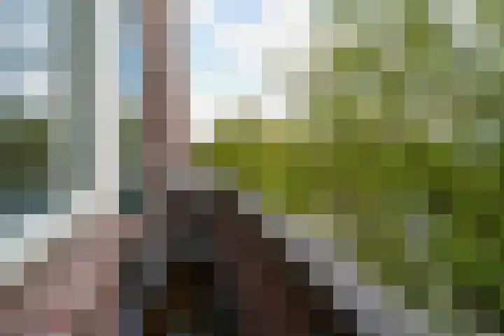 Mathenesserweg 149 B Rotterdam thumbnail 9