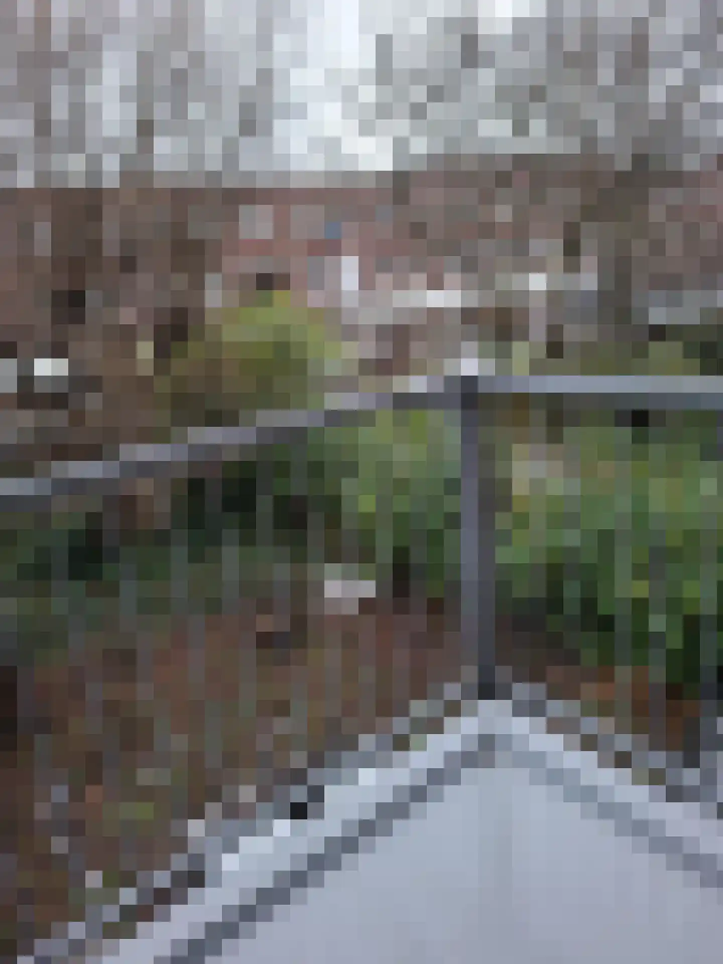 Mathenesserweg 171 C Rotterdam thumbnail 12