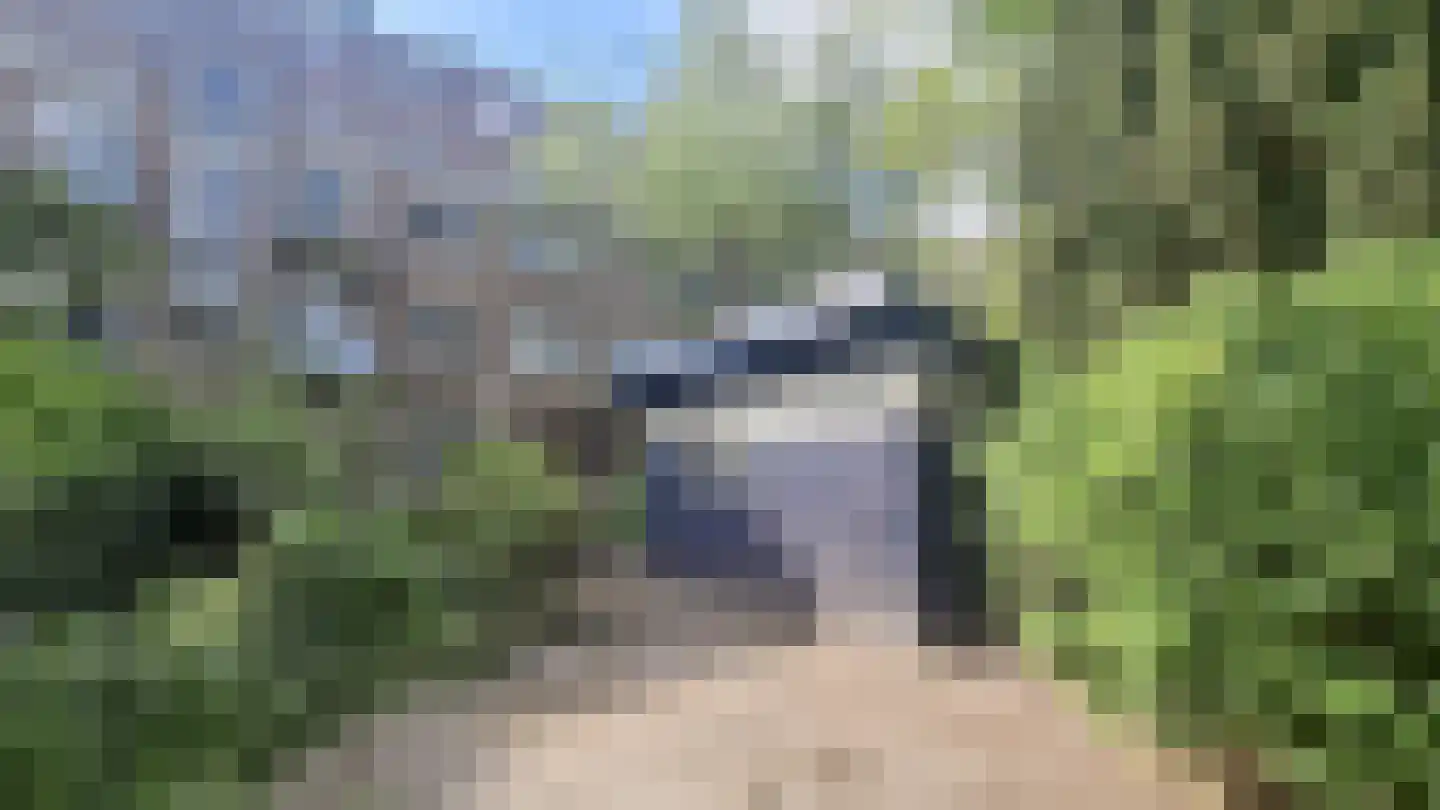 Mathenesserweg 173 D Rotterdam thumbnail 14