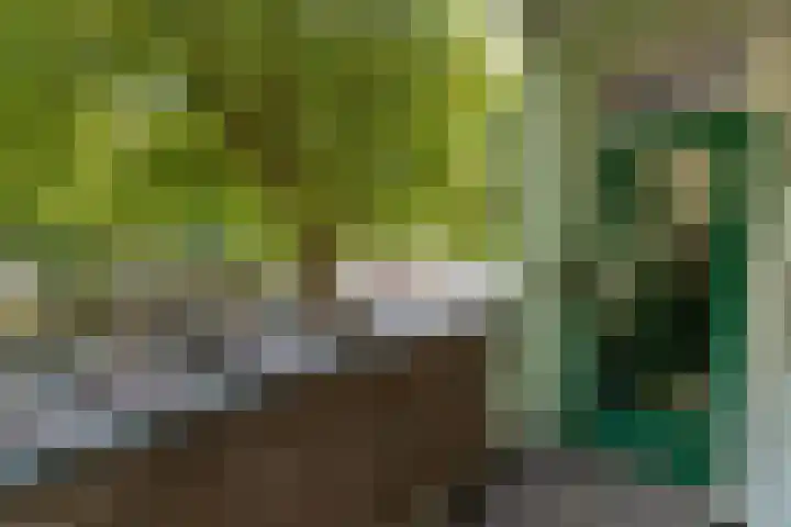 Mathenesserweg 173 D Rotterdam thumbnail 18