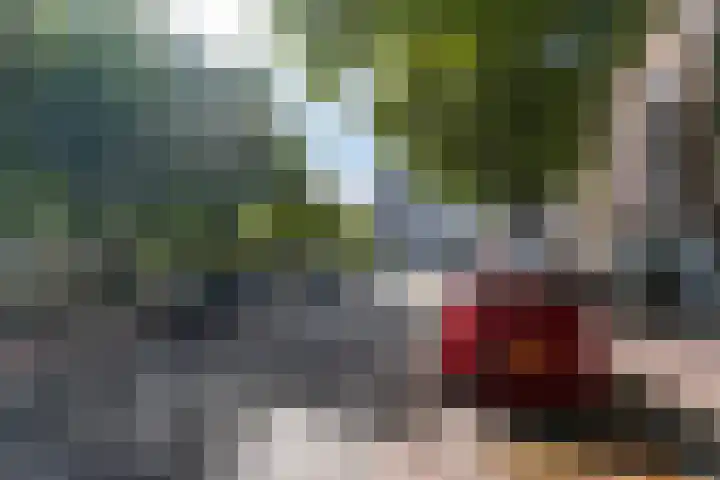 Mathenesserweg 173 D Rotterdam thumbnail 20