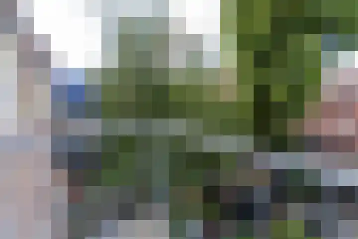 Mathenesserweg 173 D Rotterdam thumbnail 21