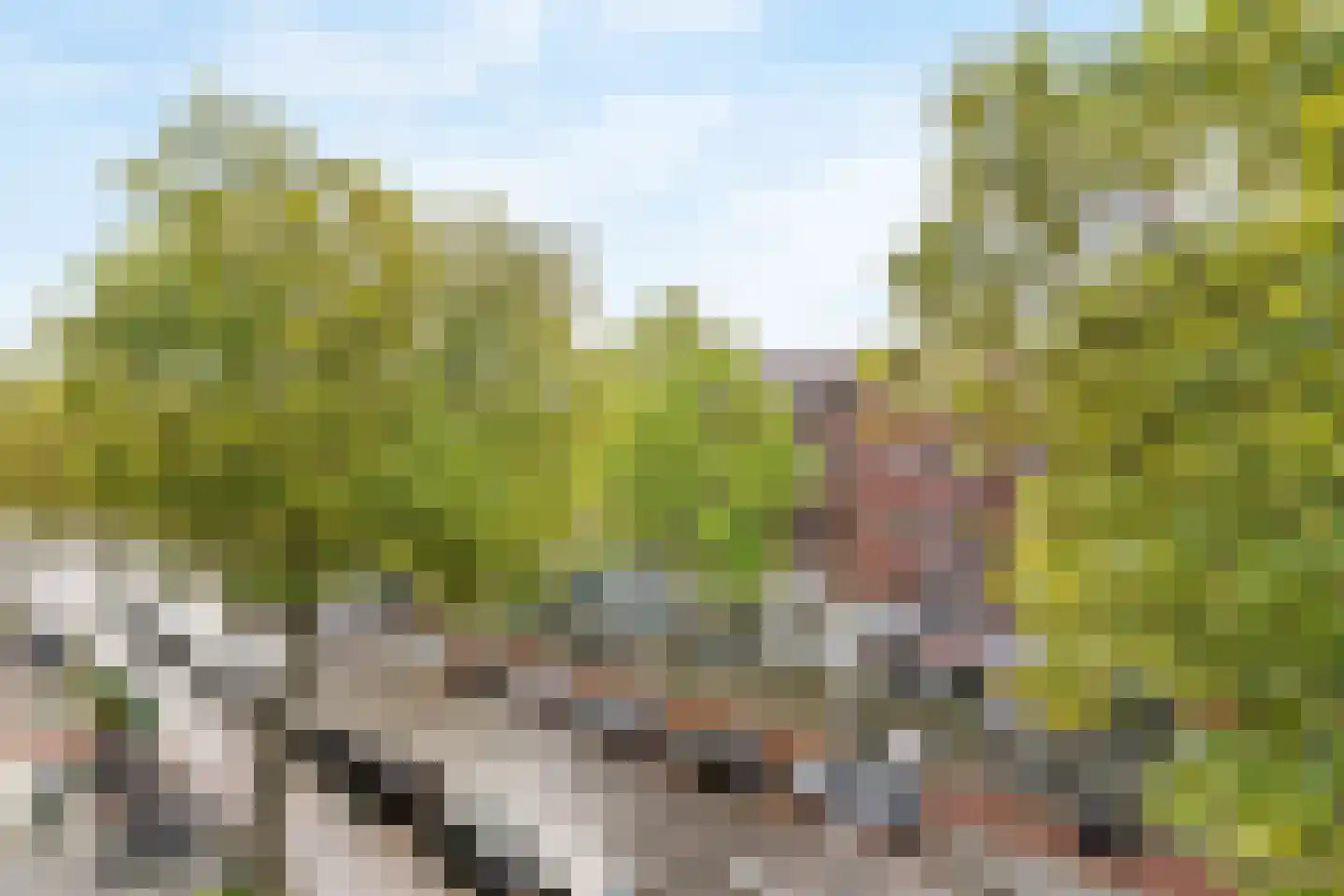 Mathenesserweg 27 B 03 Rotterdam thumbnail 40