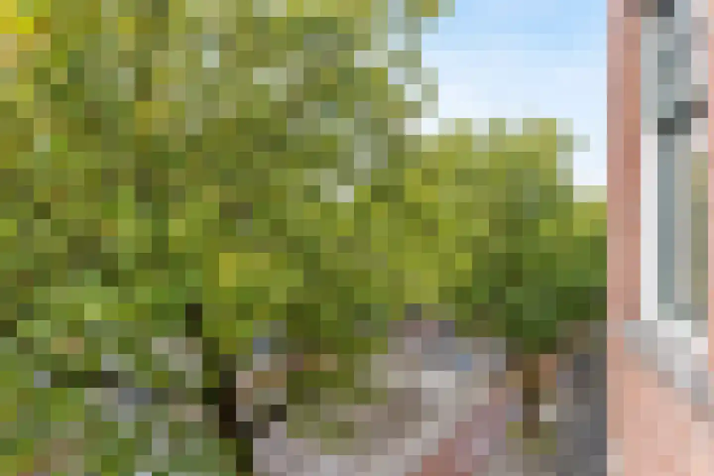 Mathenesserweg 27 B 03 Rotterdam thumbnail 43