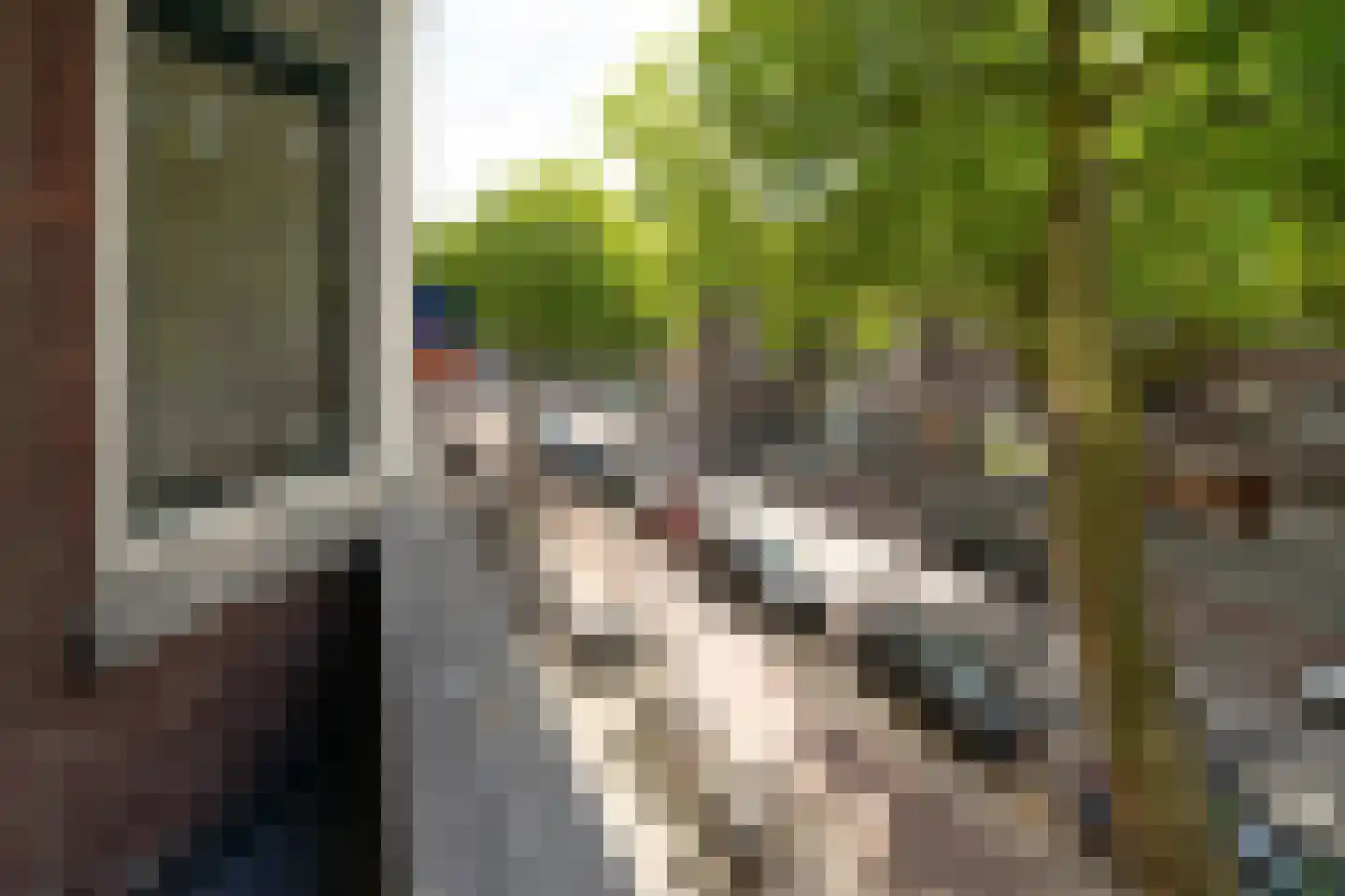 Mathenesserweg 49 B 02 Rotterdam thumbnail 10