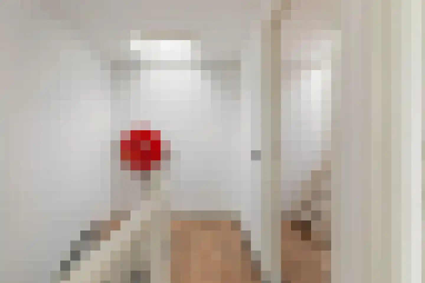 Mathenesserweg 53 B 02 Rotterdam thumbnail 38