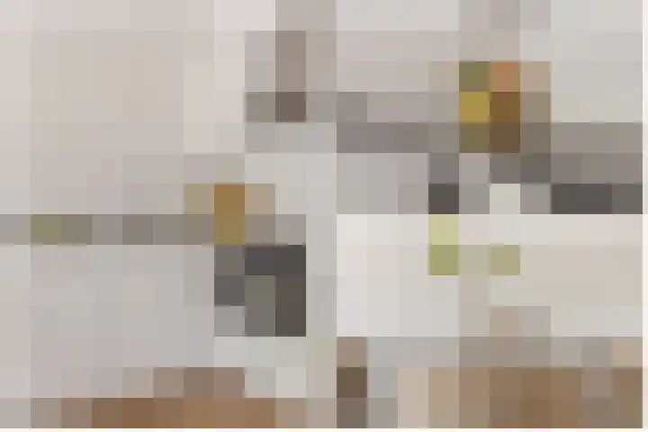 Mathenesserweg 66 B Rotterdam thumbnail 17