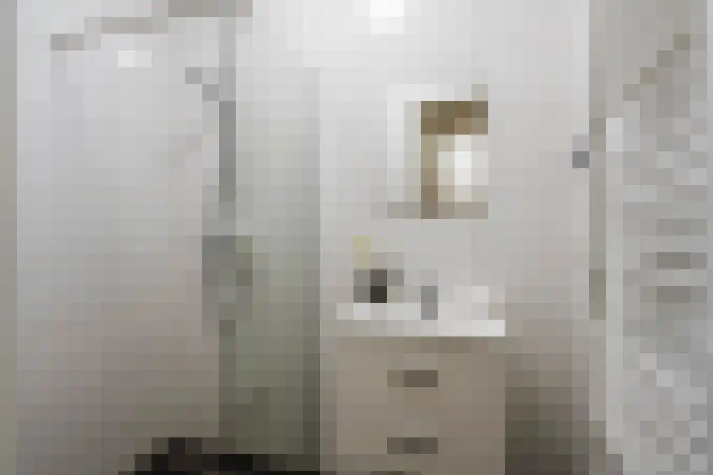 Mathenesserweg 66 B Rotterdam thumbnail 31