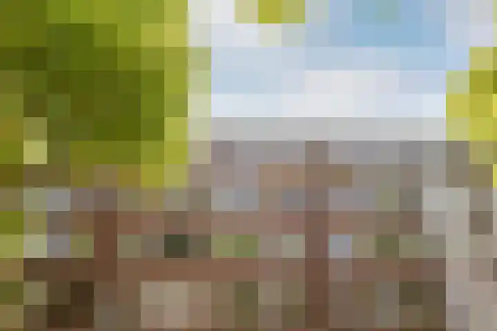 Mathenesserweg 66 B Rotterdam thumbnail 33