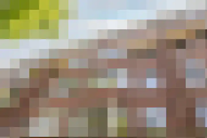 Mathenesserweg 66 B Rotterdam thumbnail 5
