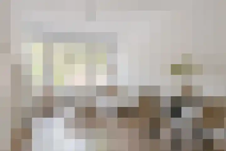 Mathenesserweg 66 B Rotterdam thumbnail 8