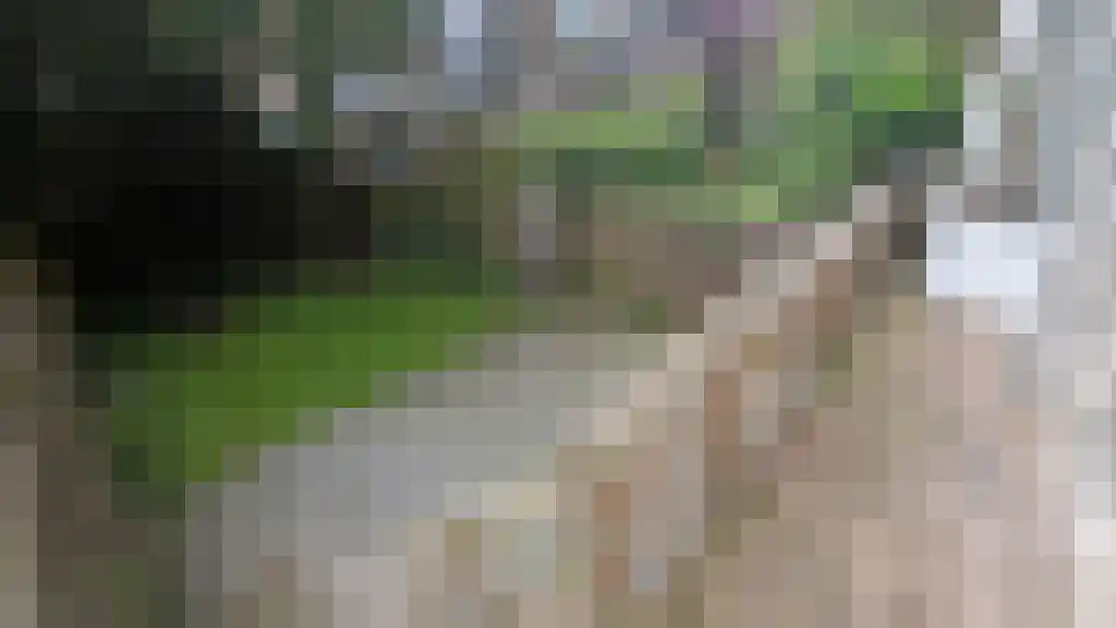 Mathenesserweg 66 Rotterdam thumbnail 6