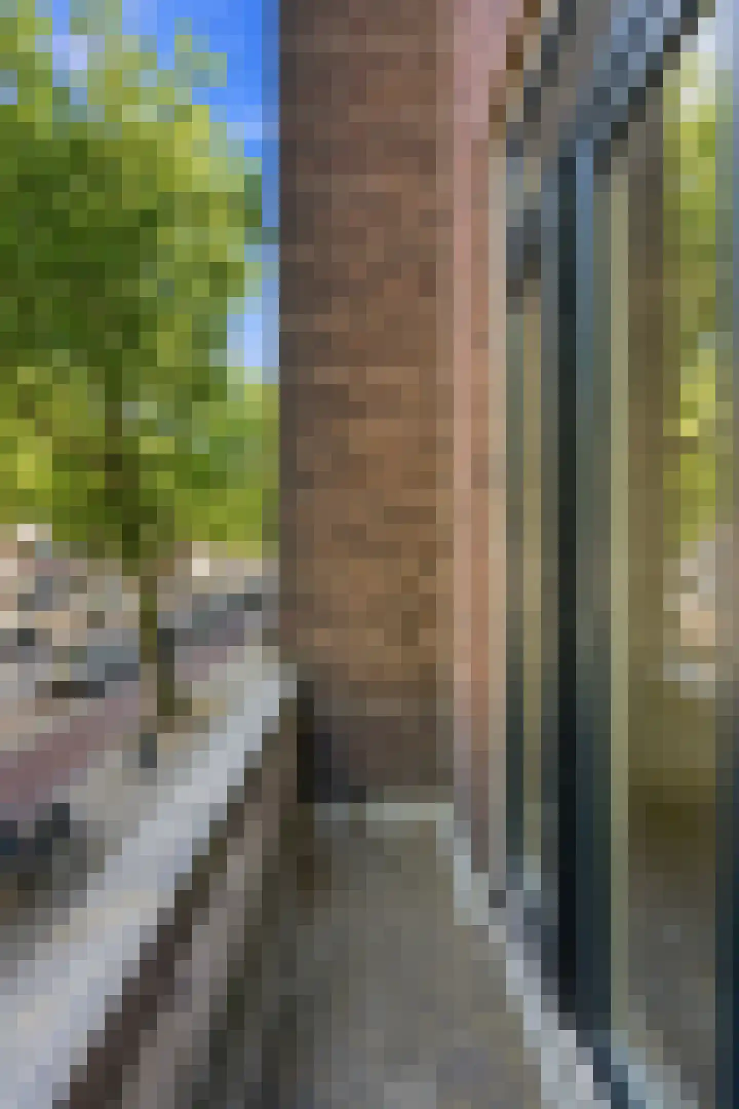 Mathenesserweg 68 B Rotterdam thumbnail 19