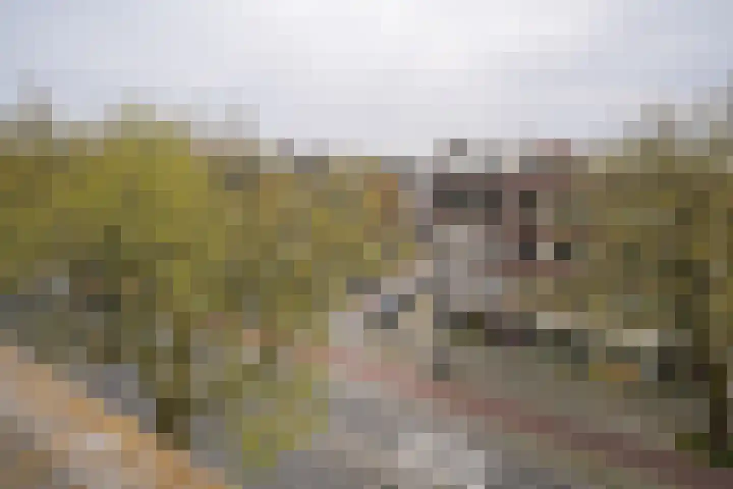 Mathenesserweg 79 A 02 Rotterdam thumbnail 19