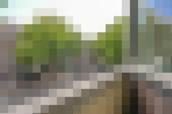 Mathenesserweg 79 A 03 Rotterdam thumbnail 25