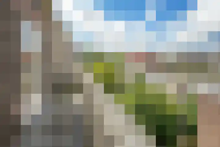 Mathenesserweg 79 A 03 Rotterdam thumbnail 4