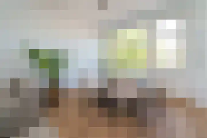 Mathenesserweg 80 A 03 Rotterdam thumbnail 7