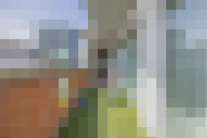 Mathenessestraat 55 C9 Breda thumbnail 40