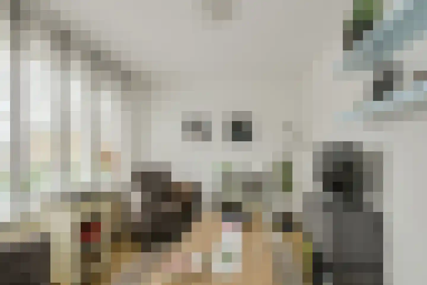 Mathenessestraat 73 Breda thumbnail 21