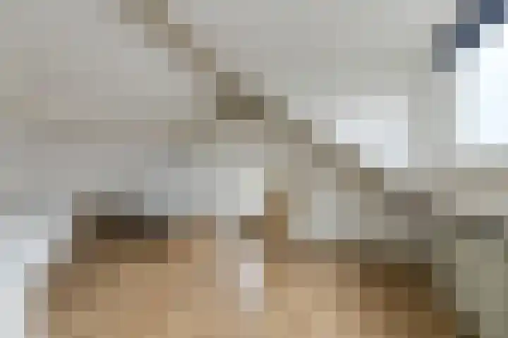 Mathenessestraat 73 Breda thumbnail 31