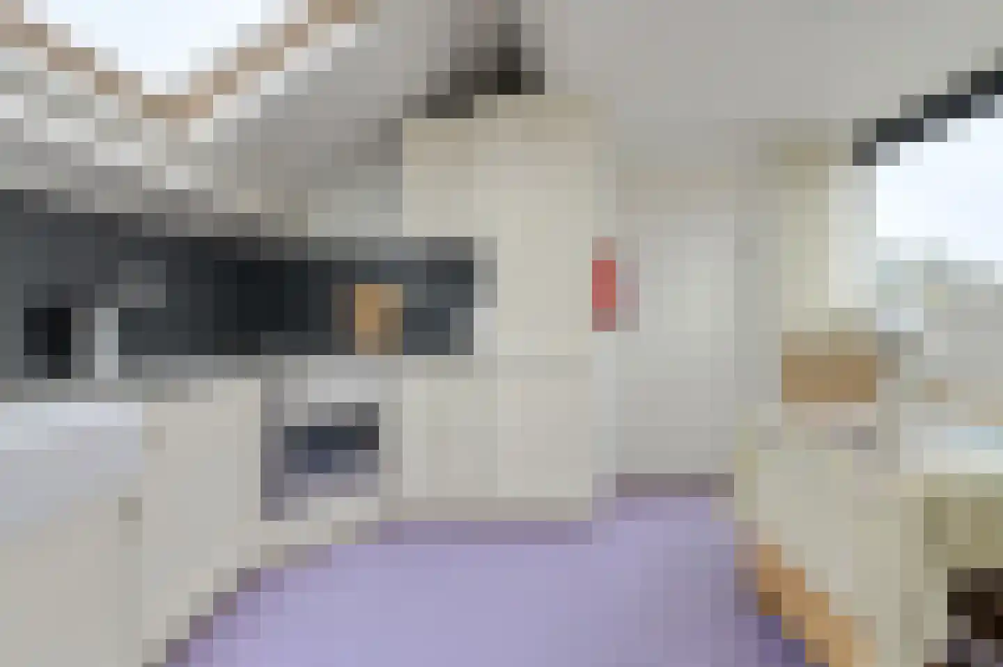 Mathenessestraat 73 Breda thumbnail 38