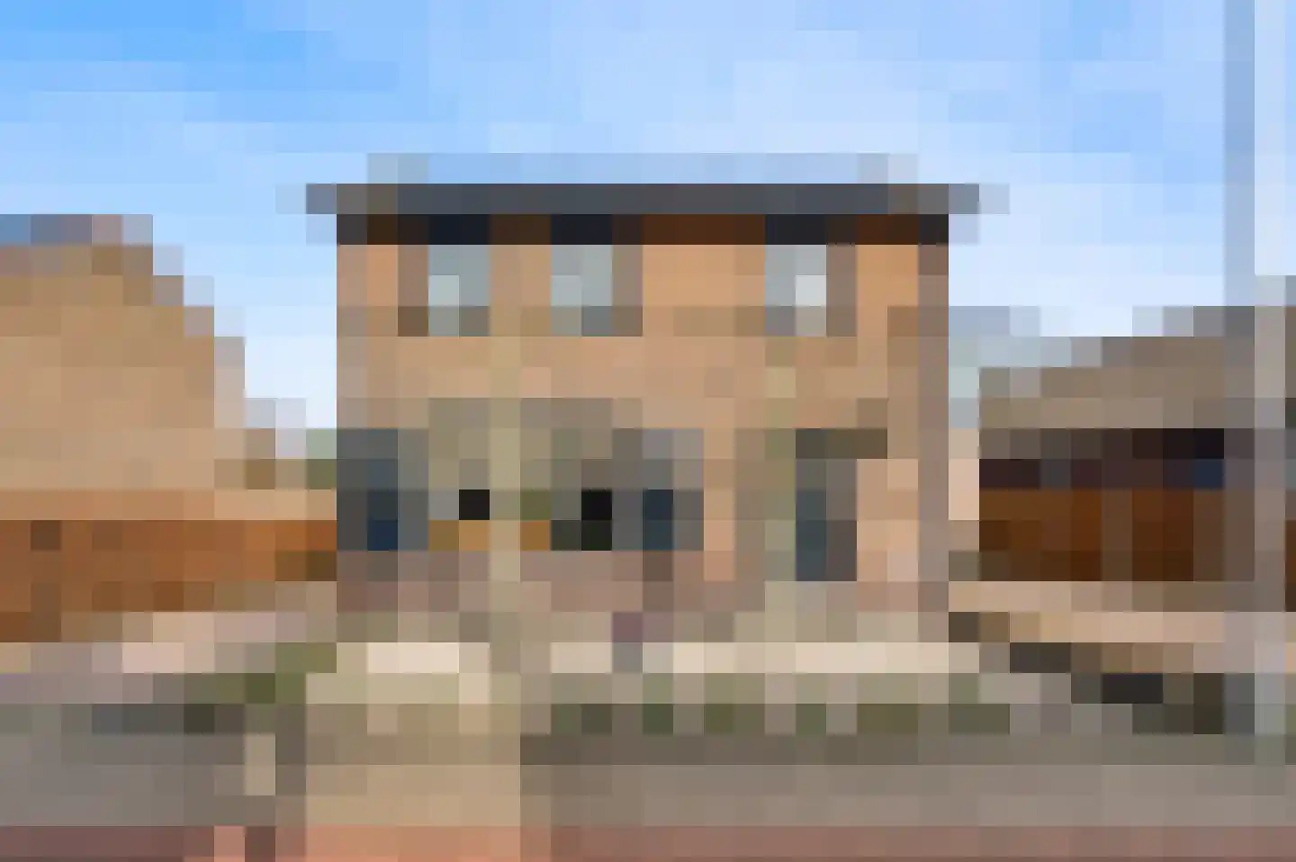 Mathieu Starrenstraat 11 Horst thumbnail 11
