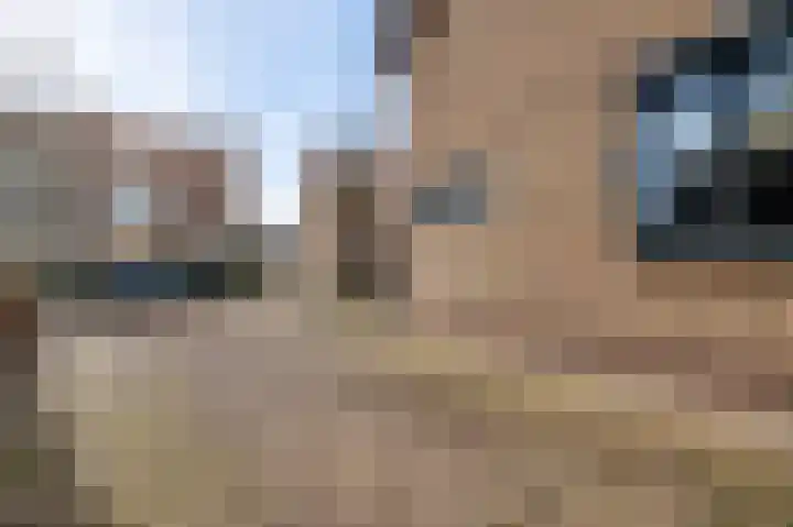 Mathieu Starrenstraat 11 Horst thumbnail 12