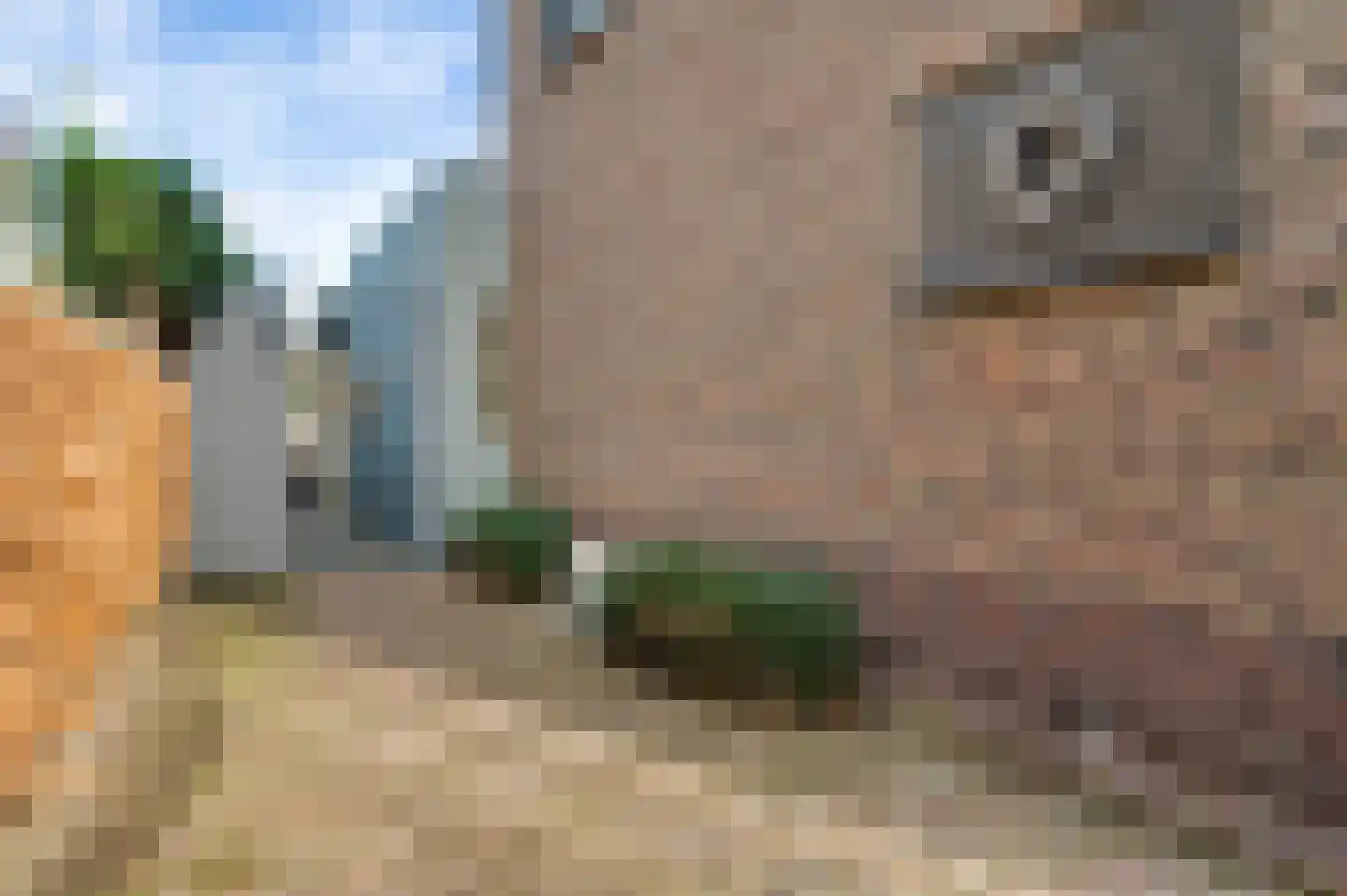 Mathieu Starrenstraat 11 Horst thumbnail 13