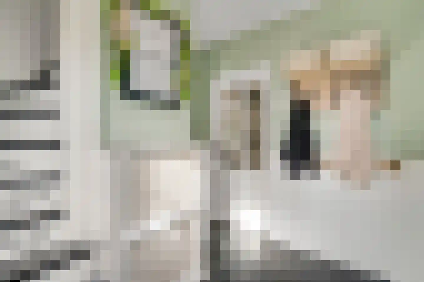 Mathieu Starrenstraat 11 Horst thumbnail 14