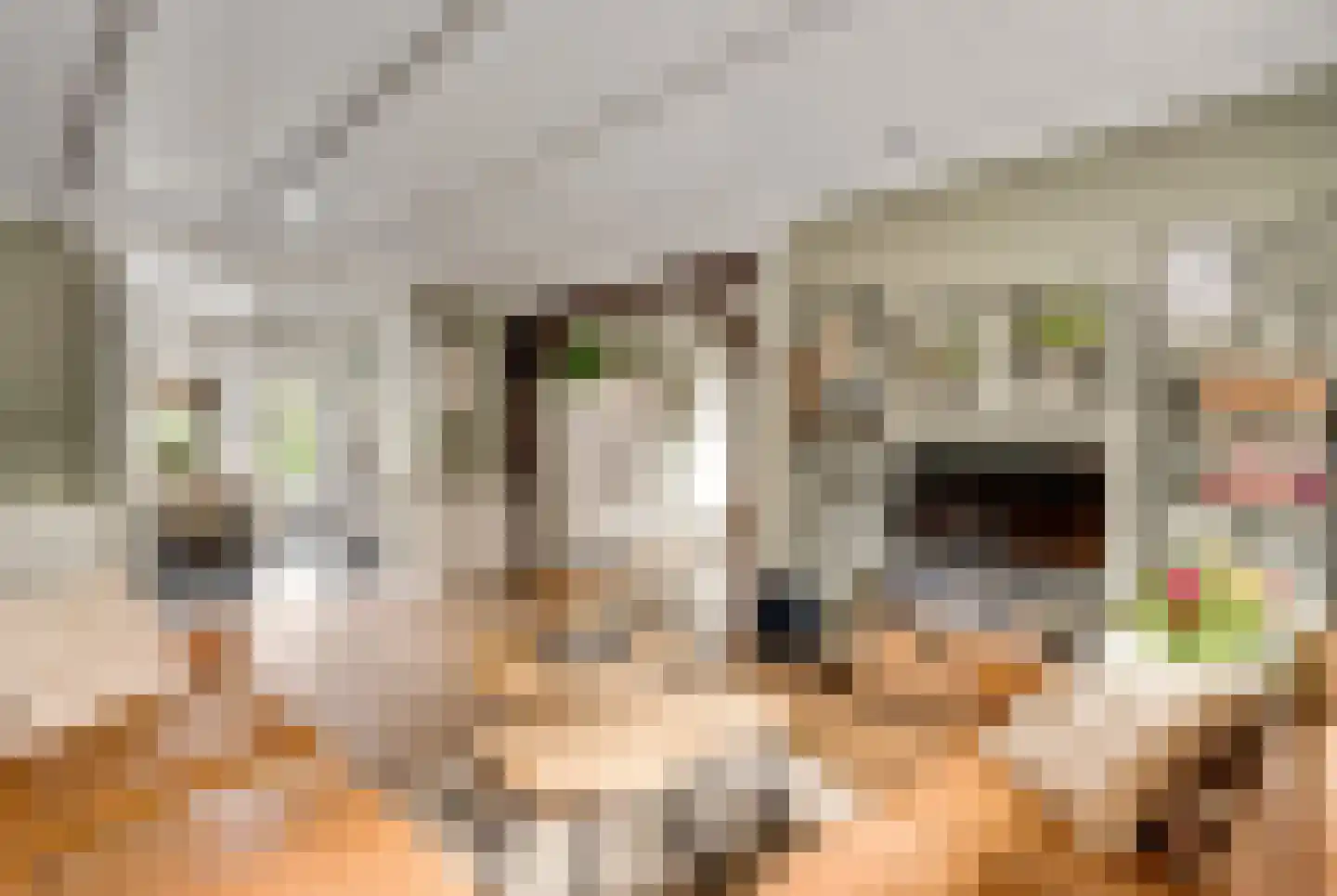 Mathieu Starrenstraat 11 Horst thumbnail 22