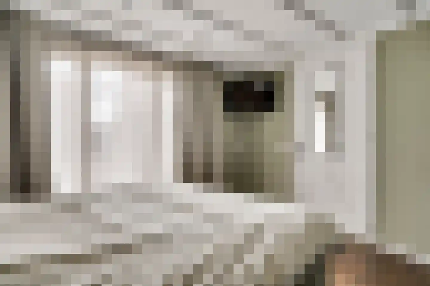 Mathieu Starrenstraat 11 Horst thumbnail 30