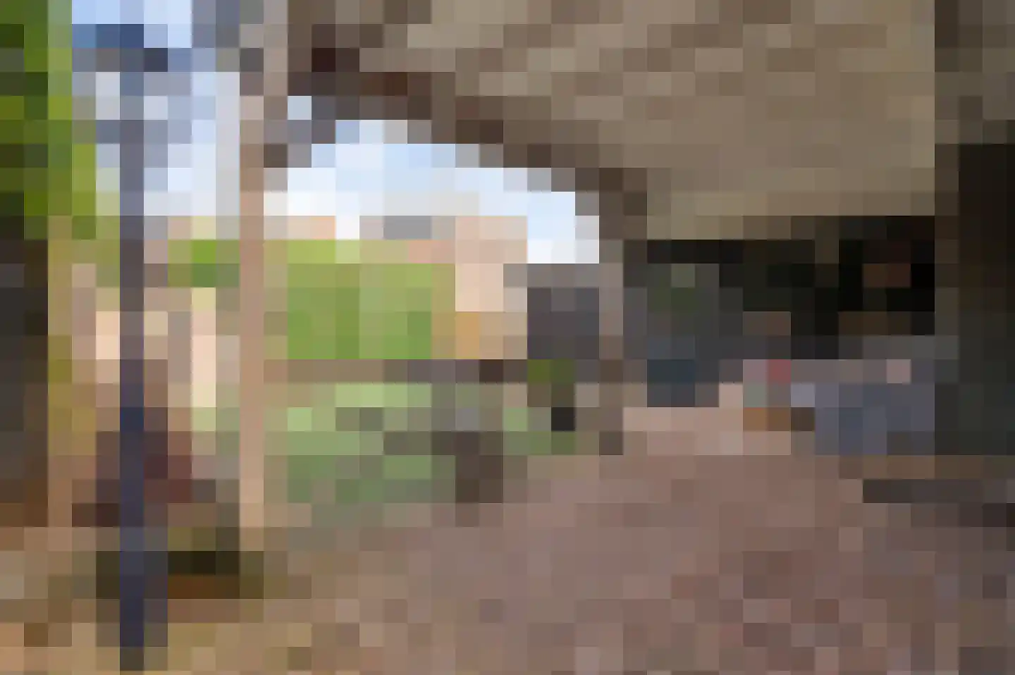 Mathieu Starrenstraat 11 Horst thumbnail 38