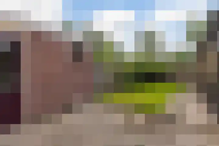 Mathijs Beckstraat 20 Vrouwenparochie thumbnail 27