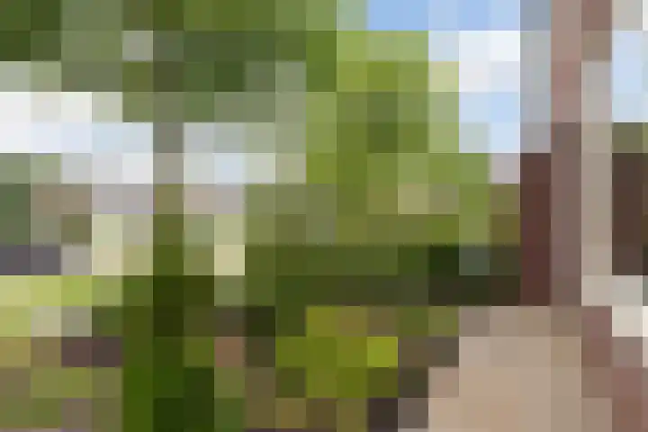 Mathijs Beckstraat 20 Vrouwenparochie thumbnail 34