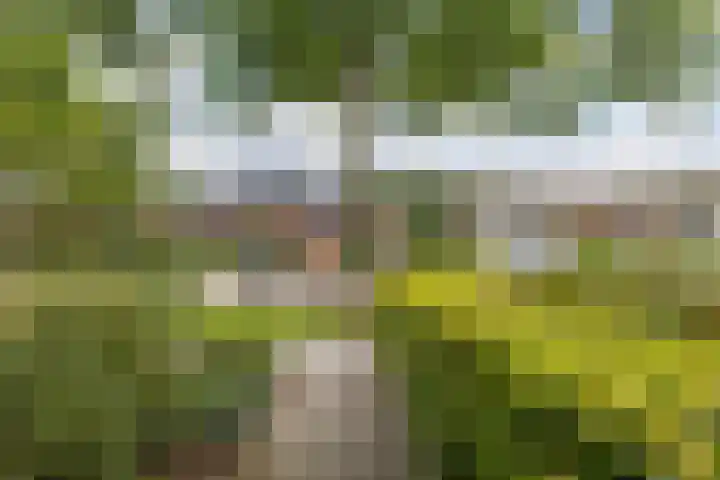 Mathijs Beckstraat 20 Vrouwenparochie thumbnail 35