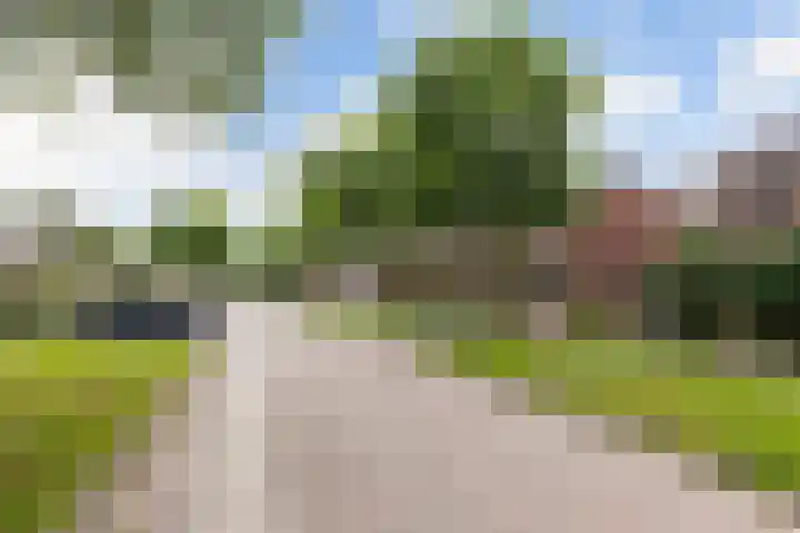 Mathijs Beckstraat 20 Vrouwenparochie thumbnail 36