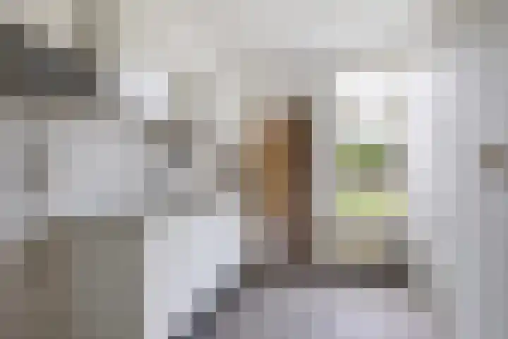 Mathijs Beckstraat 20 Vrouwenparochie thumbnail 8