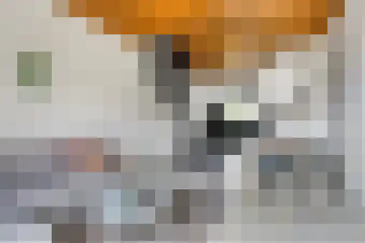 Mathijs Heugenstraat 26 Maastricht thumbnail 8